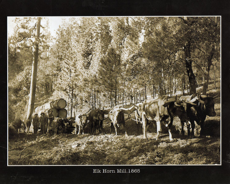 Harris Family Farm